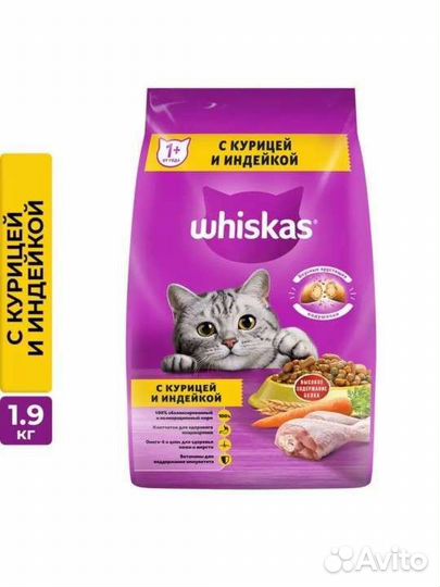 Кошачий сухой корм