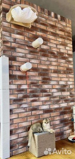 Когтеточка настенная, полка, комплекс
