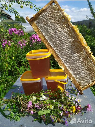 Мед с пасеки в Бежецком р-не