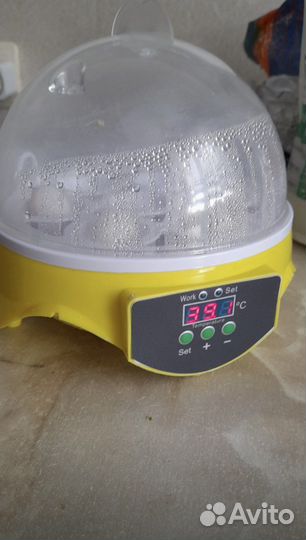 Инкубатор автоматический