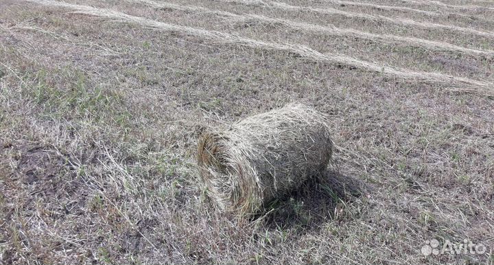 Пресс-подборщик Weifang RXYK0850, 2023