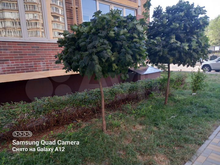 1-к. квартира, 35,5 м², 9/9 эт.