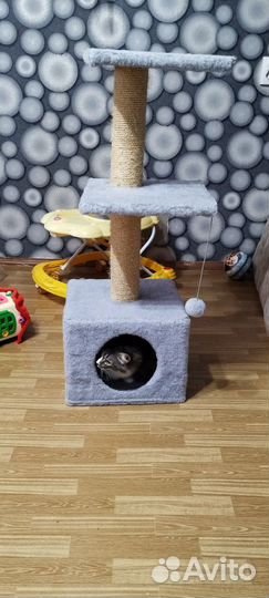 Домик для кошки с когтеточкой бу