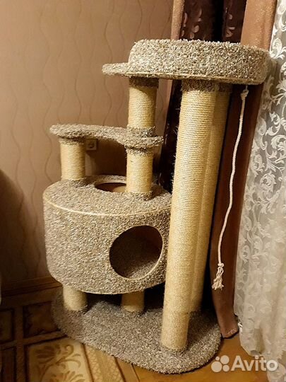 Когтеточка-комплекс для кошки