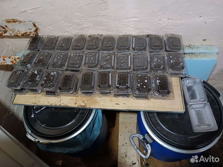 Червь, наживка, груза