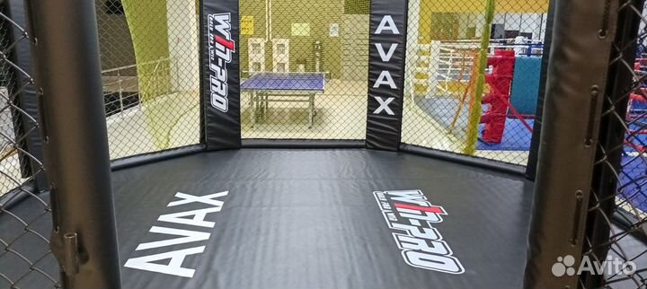 Октагон на техническом помосте