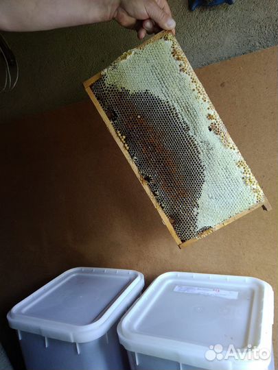 Мёд в куботейнерах