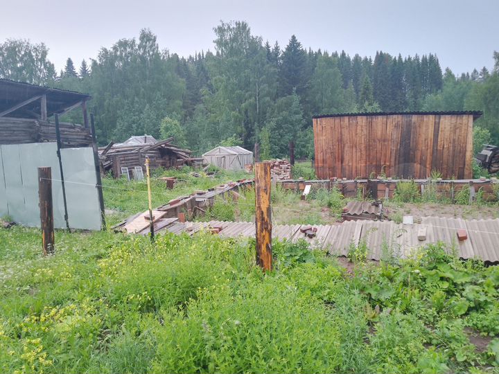 Участок 24 сот. (ИЖС)