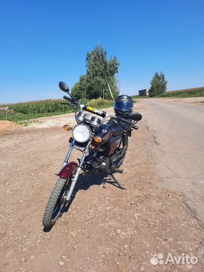 Альфа Рейсер