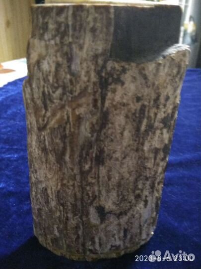 Фрагмент бивня мамонта