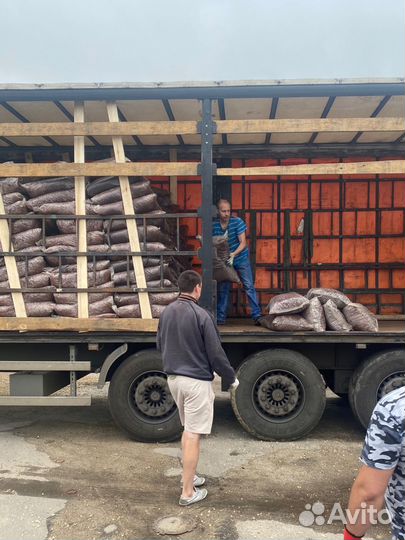 Шишки сосновые. Кора. Мульча