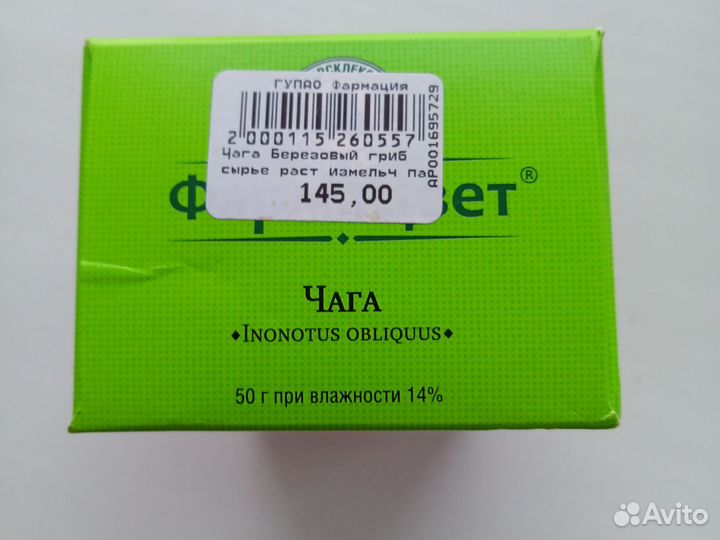 Чага (берёзовый гриб)