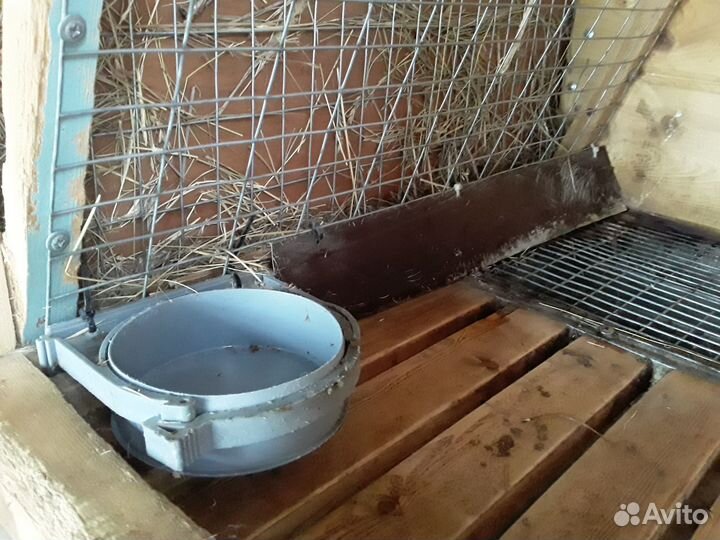 Клетки для кроликов