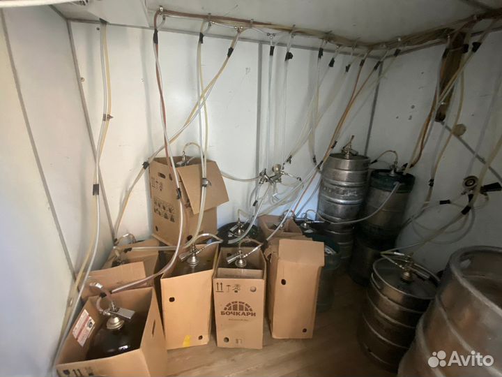 Готовый бизнес - пивной магазин