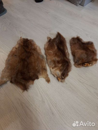 Шкурка животного ондатры