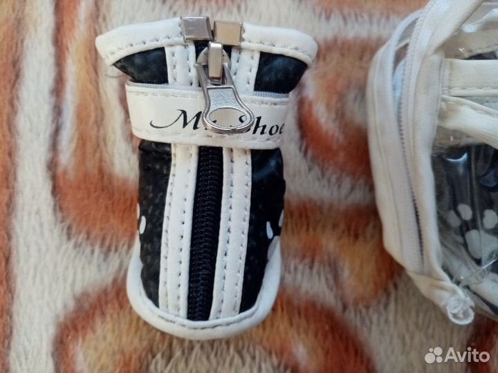 Ботиночки для маленькой собачки