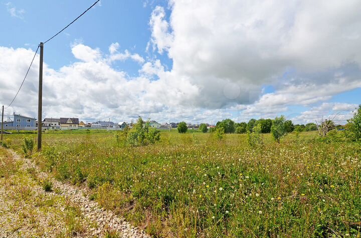 Участок 15,5 сот. (СНТ, ДНП)