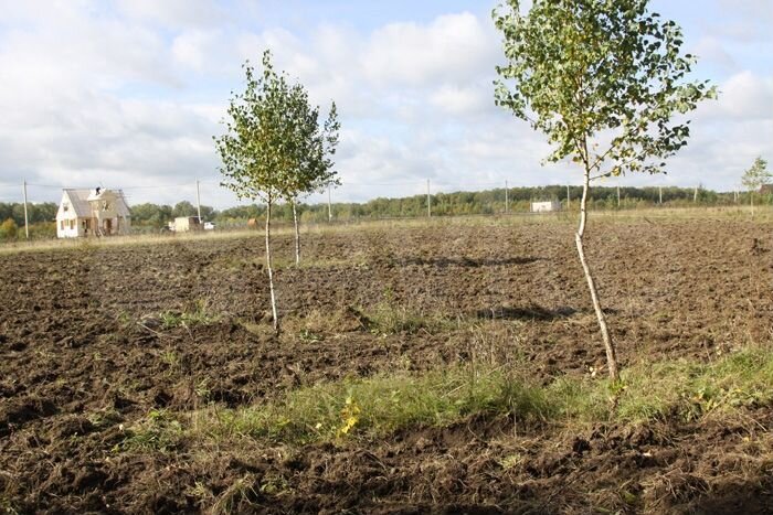 Участок 29 сот. (СНТ, ДНП)