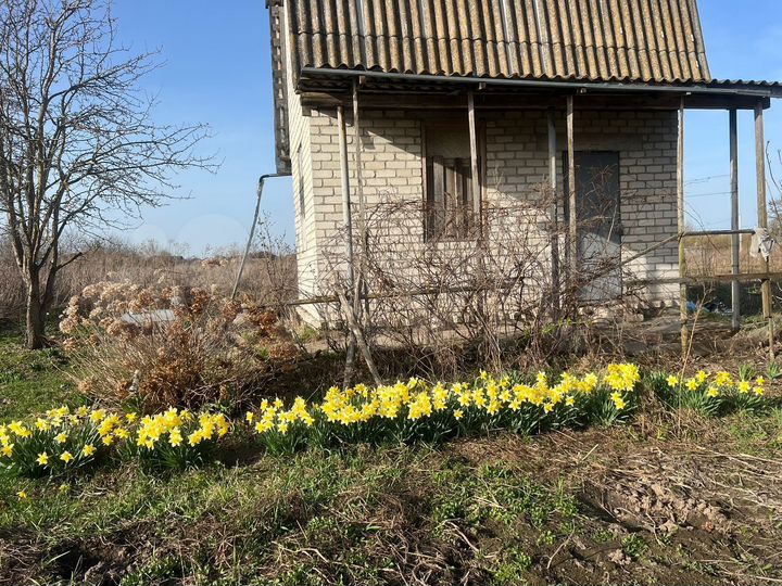 Участок 8 сот. (СНТ, ДНП)