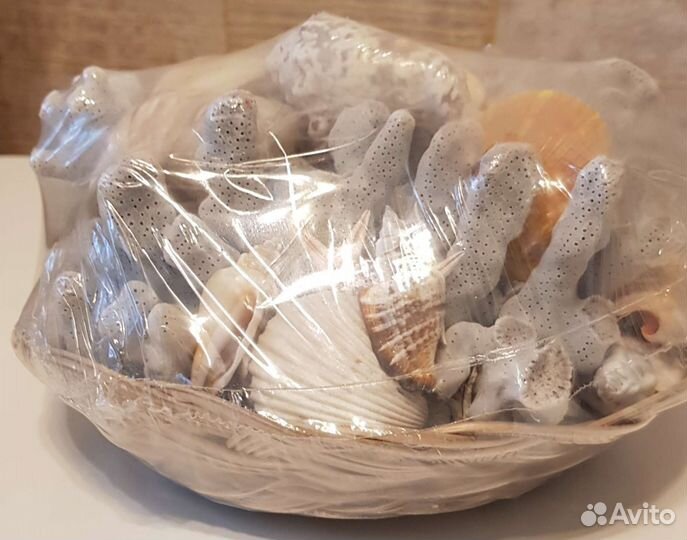 Ракушки и кораллы