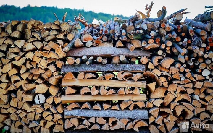 Дрова естесвенной влажности