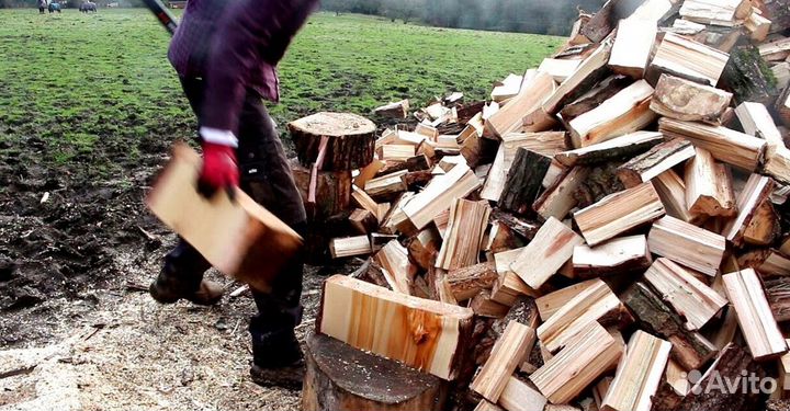 Дрова с Приозерска