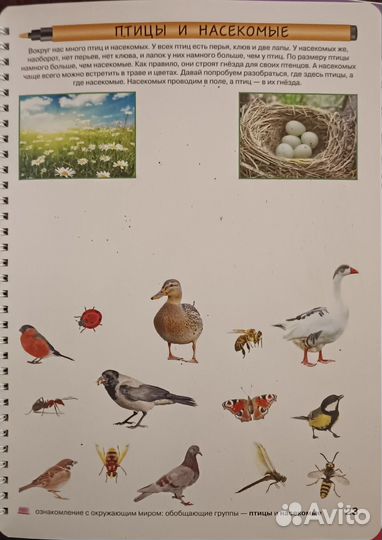 2 развивающие тетради Юлии Фишер многоразовые