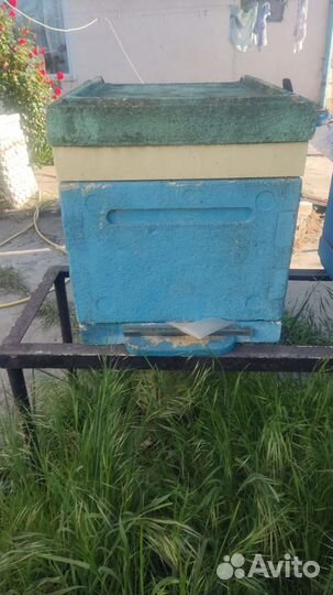 Улей для пчел ППУ