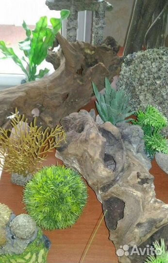 Для аквариума