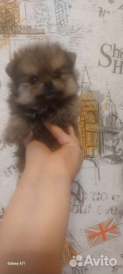 Супер миник