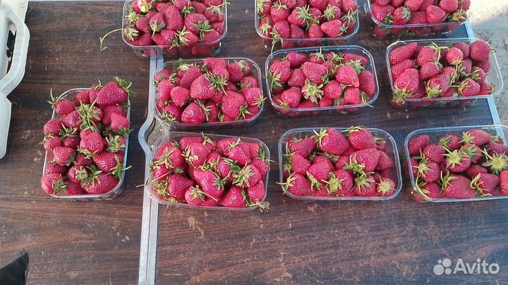 Клубника свежая
