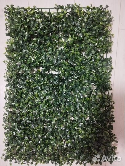 Искусственная трава самшит