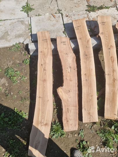 Слэб карагача