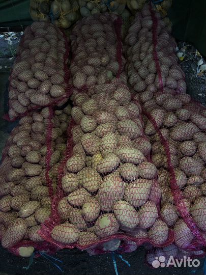 Розовый, желтый картофель и лук сухой