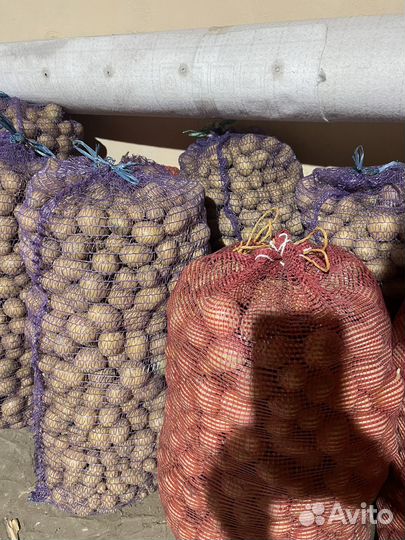 Картофель мелкий