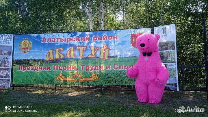 Услуги Аниматора