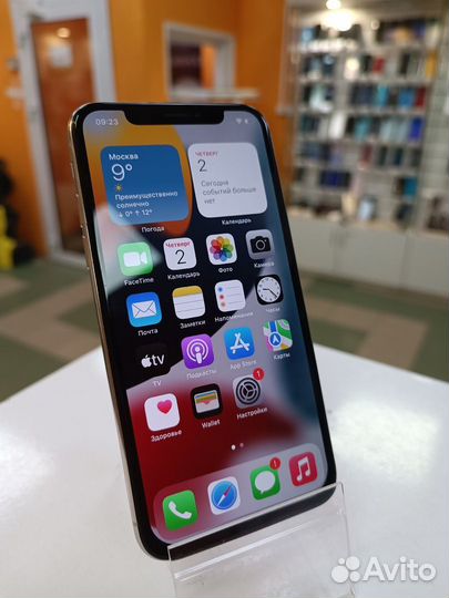 iPhone X, 256 ГБ