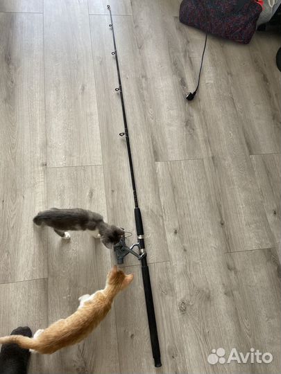 Удочка волгарь монолит