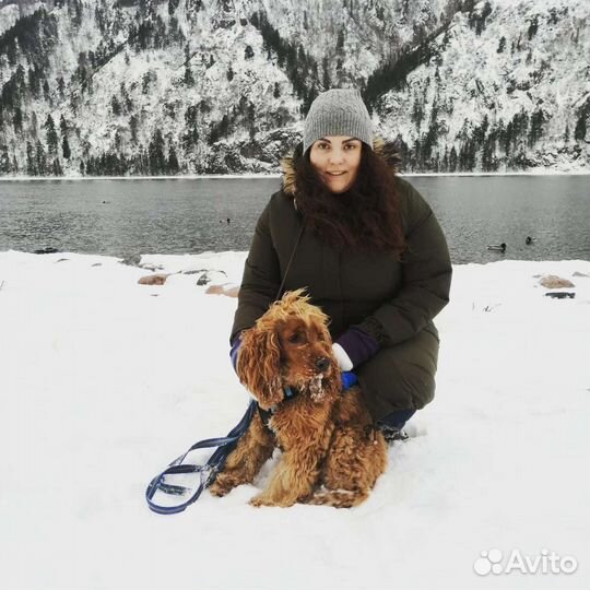 Кинолог (дрессировка собак, занятия с детьми)
