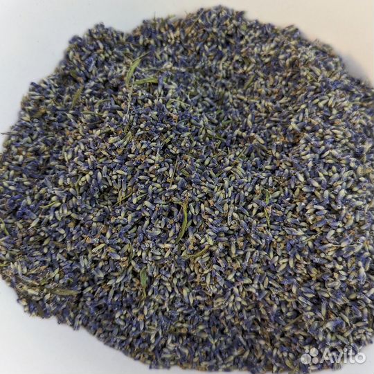 Лаванда сухоцвет