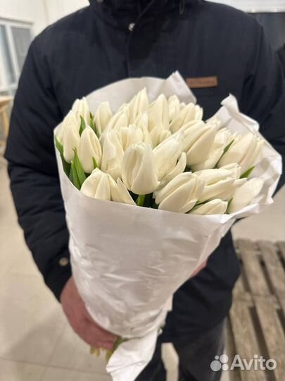 Тюльпаны к 8 марта оптом