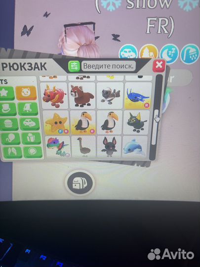 Петы в адопт ми фр