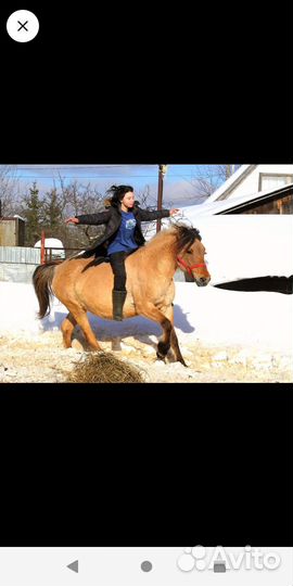 Катание на лошадях, конные прогулки, верховая езда
