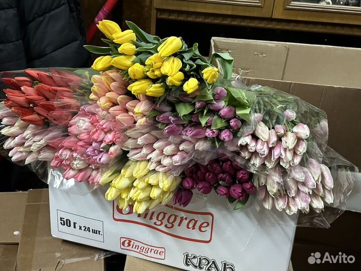 Тюльпаны от 40 шт