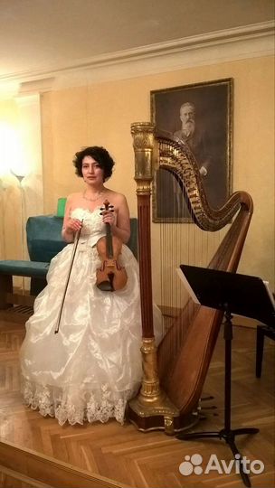 Музыкант на мероприятие