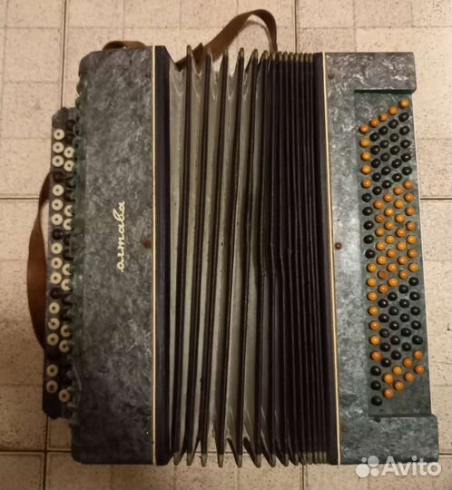 Баян Полтава