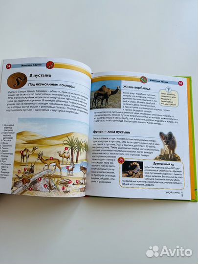 Детская энциклопедия