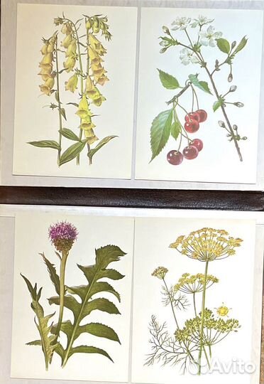 Винтажные открытки