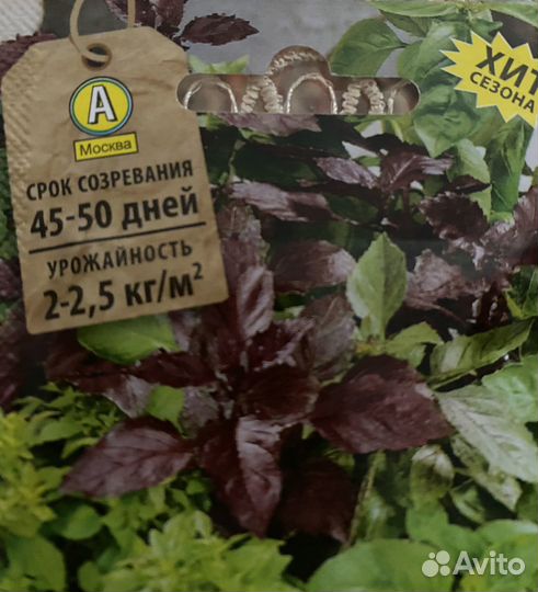 Рассада баклажан,томатов,огурцов и кабачков