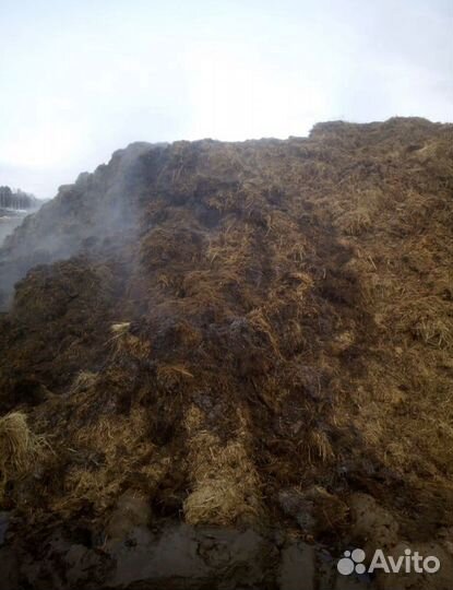 Навоз коровяк пеерегной